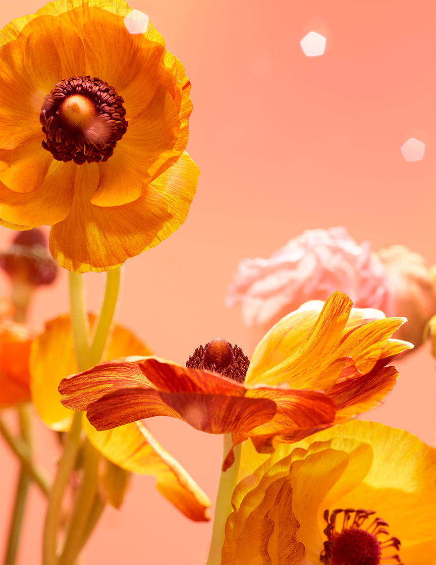 SHOT_6_1140_V