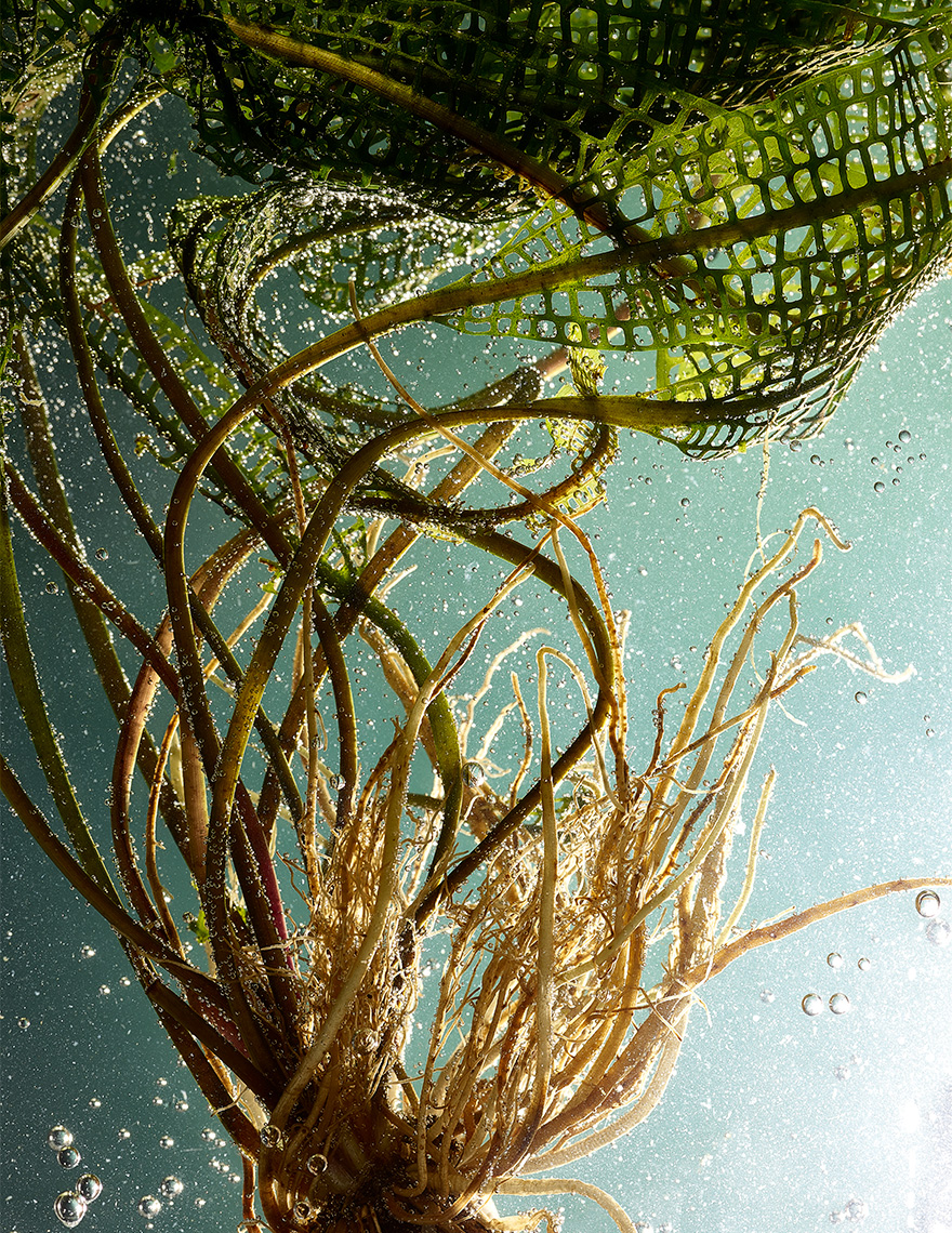 SPRING19_657
